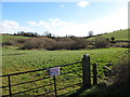 Interdrumlin wetland hollow near the junction of Drumanaghan Road and  Shanbally Road