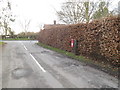 Half Moon Lane & The Green Postbox