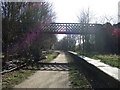 Bridge over the Trans Pennine Trail, Killamarsh