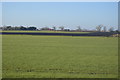 TL5286 : Flat farmland by N Chadwick
