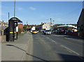 SK4581 : Bus stop and shelter on Sheffield Road (B6058) by JThomas