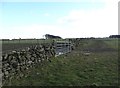 Gate and field boundary south of School Wood