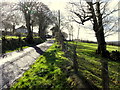 Shadows along Bearney Road