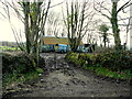 H3693 : Muddy ground, Bearney Glebe by Kenneth  Allen