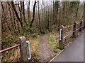 Path down to the valley of the Afon Afan, Cymmer