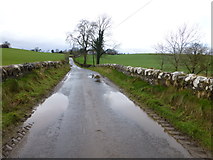 H4869 : Puddles, Edenderry Road by Kenneth  Allen