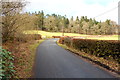 Road to Knocksheen at Carse Wood