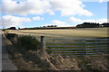 Fields above Thomastown