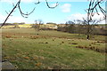 Farmland at Waterside