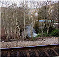 Stream emerges from under Garth railway station