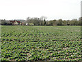 Collingsford Farm across the fields