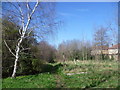 St Mary Magdalene Churchyard, East Ham