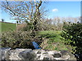 Ardilea Stream above the Drumanaghan Road bridge