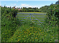 SO7559 : Field and gate along Hopehouse Lane by Mat Fascione