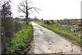 Straight section of bridleway by Jury Farm