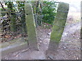 Cut Mark Bamford Gatepost Stile Joan Lane