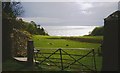 Fresh pasture at Ardlussa