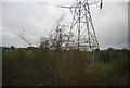 Pylon by the West Coast Line