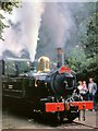 SC2869 : Isle of Man Steam Railway, "Kissack" at Ballasalla by David Dixon