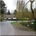 Pond and thatched cottages