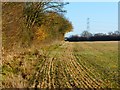 SP8209 : Farmland, Ellesborough by Andrew Smith