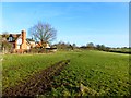 Pasture, Dunton