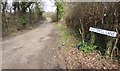 Looking west on Whitehill Lane