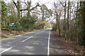 Old Lane enters East Horsley