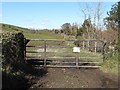 Field access gates leading from Drumanaghan Road