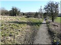 Path down Burgess Hill