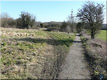 TR2850 : Path down Burgess Hill by John Baker