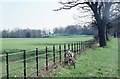 The view south from Paddockhurst Road