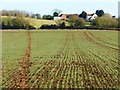 SP8320 : Farmland, Aston Abbotts by Andrew Smith