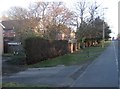 Cycle lane by Farnborough Road (A325)