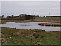 Cathkin Marsh