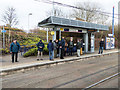 Waiting for a tram