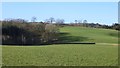 Fields near Kirkland