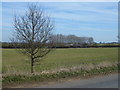 A distant view of Heath Farm near Colkirk, Norfolk