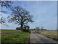 Dereham Road south east of Colkirk