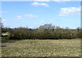 Farmland near Stagholt Farm