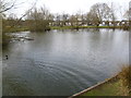 Pond at Theydon Green