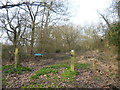 Entrance to Epping Forest at Debden Green