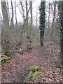 Woodland Track - off Wetherby Road