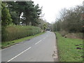 Syke Lane - Bay Horse Lane