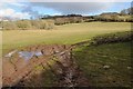 Farmland near Talgarth