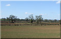 Farmland near Goldwick Farm