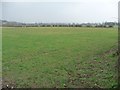 Farmland south of Woodgate Farm