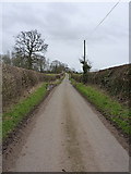 SJ7721 : Guild Lane, SE of Sutton by Richard Law