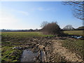 Footpath to Lordings Road