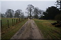 Wolds Way in Londesborough Park